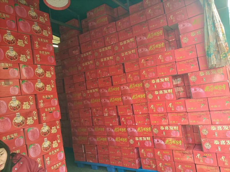 湖北商贸企业：新兴动能与转型之路